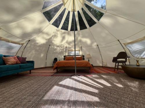 Shawnigan Lake Autre | Tree Top Sanctuary Cowichan Valley