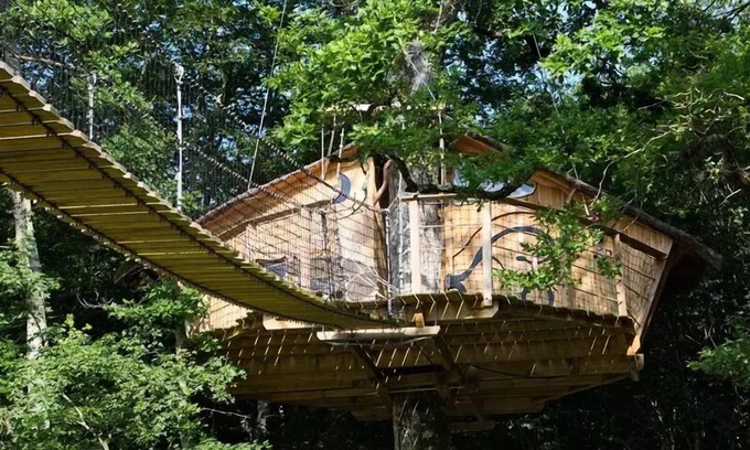 Dienne Cabine | Treehouse 2 People