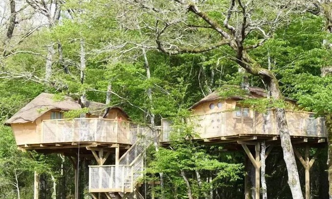Dienne Cabine | Cabane Dans Les Arbres 4 Personnes