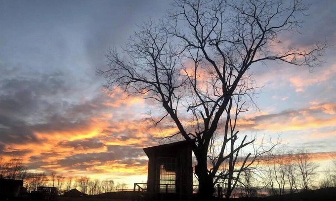 Pine Grove Cabine | Treehouse at Fairview Farms