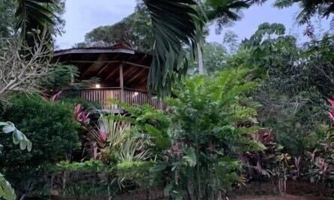 San Isidro de El General Cabine | La cabane de l'arbre