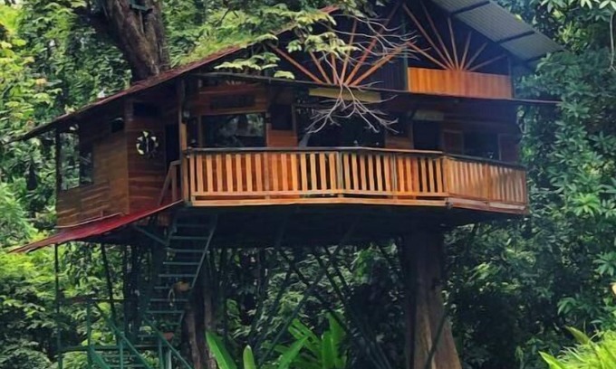 Jaco Maison | Treehouse with butterfly and exotic fruit farm