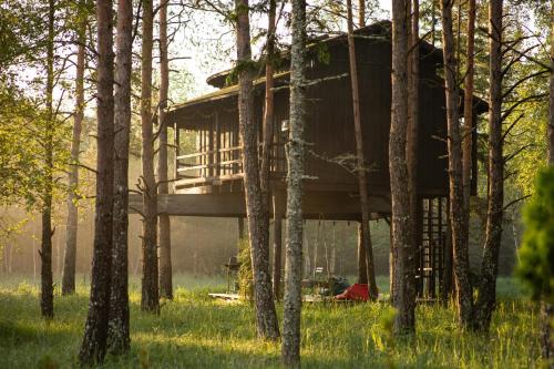 Saue Parish Cabine | Treehouseestonia