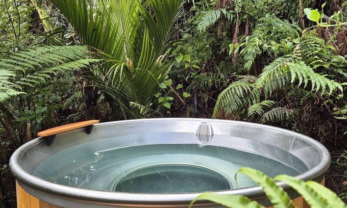 Punakaiki Maison | Treescapes