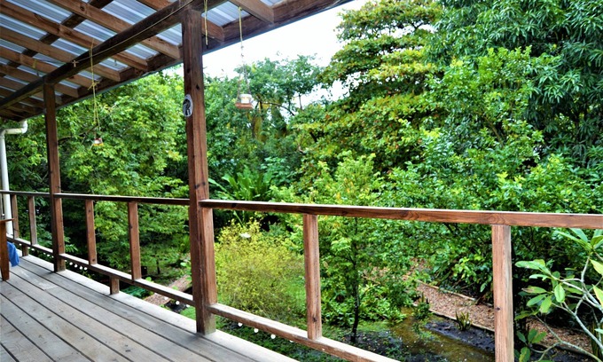 San Ignacio Maison | Tree Top Home In A Jungle Like Oasis in San Ignacio, Start Your Adventure Here