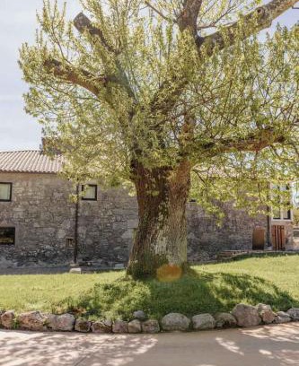 O Savinao Hôtel | Tres Portas