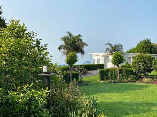 Tauranga Maison | Tropical Avocado Orchard Escape Ohauiti