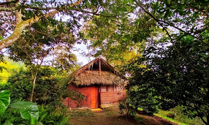 Nocaima Hôtel | Tropical Biohostel by Rotamundos