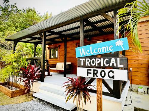 Nakama Maison | Tropical Frog