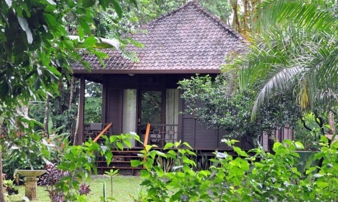 Ojochal Maison | Retraite de jardin tropical avec spa privé et piscine