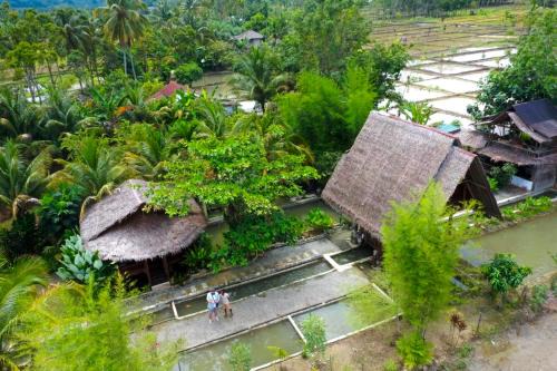 Bohorok Maison | Tropical Jungle lodge & Jungle trekking