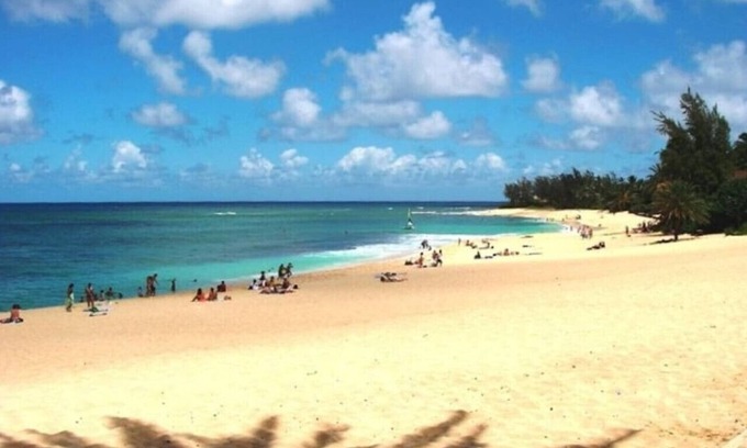 Pupukea Copropriété | Escapade tropicale d'une chambre!