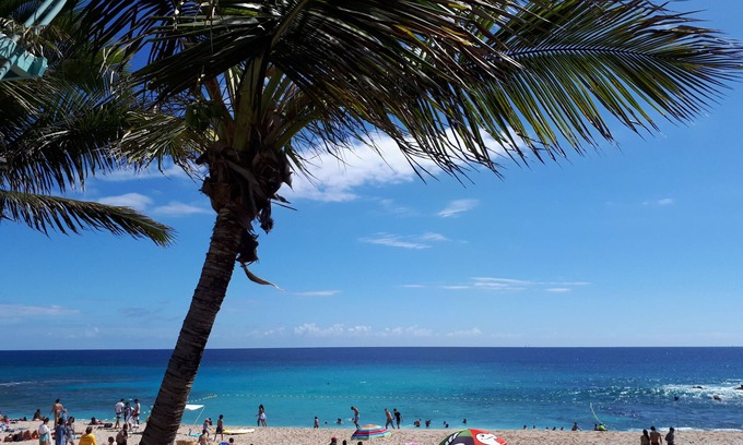 Boucan Canot Appartement | vacances tropicales dans T1bis de plain pied, 2 étoiles, bord de plage à Boucan