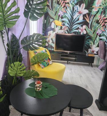 Amnon Maison | Tropicana