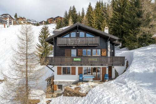 Bettmeralp Appartement | Tschiffra OG