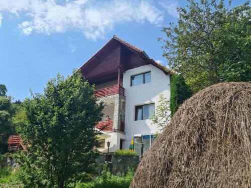 Tesila Maison | Tudor's Valea Doftanei