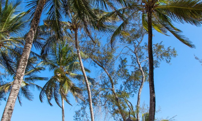 Watamu Station Balnéaire | Turtle Bay Beach Club