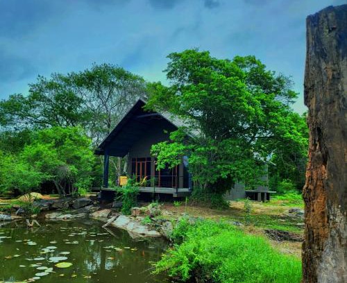 Nochchiyagama Station Balnéaire | Turtle Pond Wilpattu