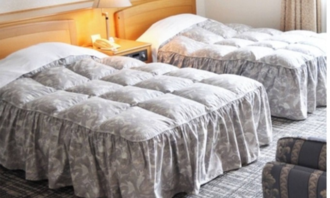 Nakaniikawa-gun Hôtel | Twin room in the main building One night stay wi / Toyama Toyama