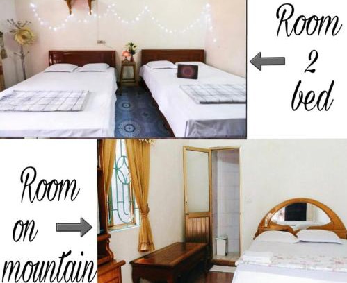 Cat Hai Maison | Two Friendly Room