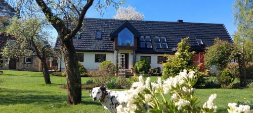 Szczytna Maison | U Helci - Na Krańcu Świata - Azyl tylko dla Dorosłych