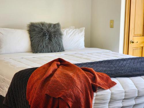 Te Aro Appartement | U Suites on Courtenay