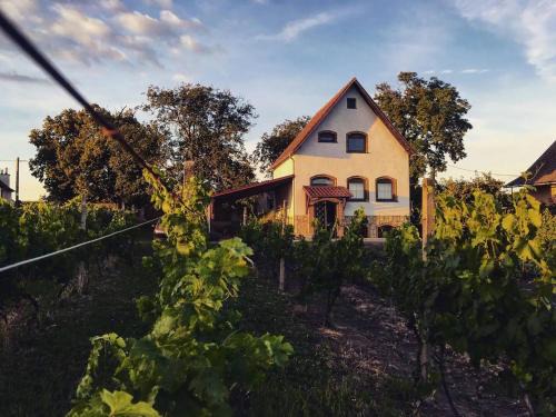 Velke Bilovice Appartement | Ubytování ve vinném sklepě - Velké Bílovice