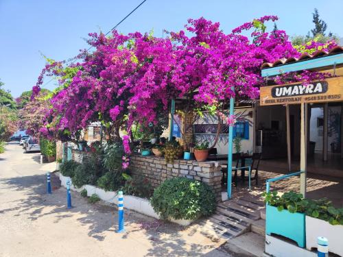 Torba Hôtel | UMAYRA OTEL