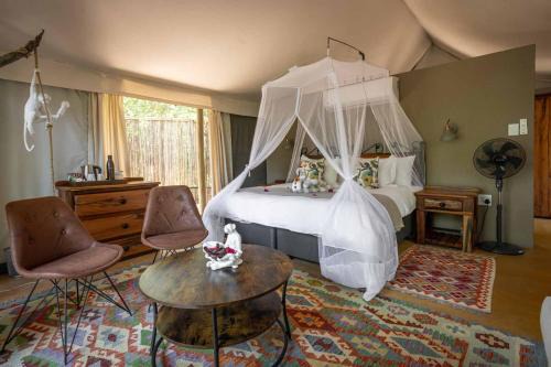 Kruger National Park Autre | Umkumbe Bush Lodge - Luxury Tented Camp