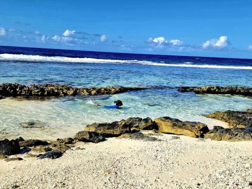 Temae Appartement | Un écrin de paix au soleil et proche de la mer