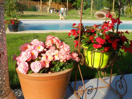 Villepinte Maison | Un bouquet de Tangissart