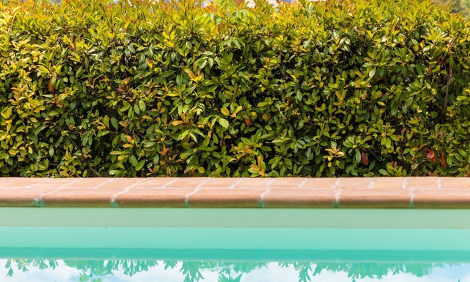 Castiglione della Valle Autre | Un Petit Paradis