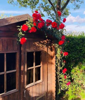 Nola Maison | Una piacevole oasi di benessere nei vostri viaggi