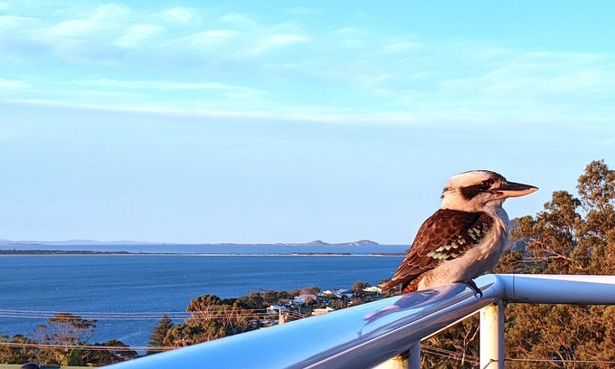 Nelson Bay Maison | Vues imbattables sur Port Stephens - Eaux du Pacifique