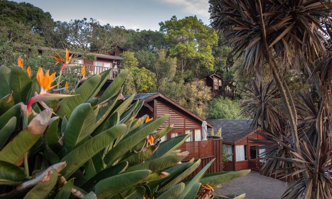 Knysna Station Balnéaire | Under Milkwood Resort