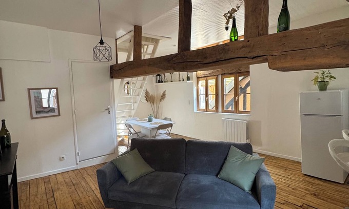 Old Town Appartement | Unique apartment in the historic heart of Troyes - Ruelle des chats/rue Champeaux
