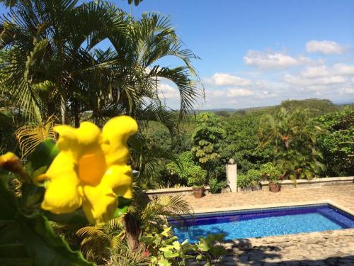Coyolar Maison | Unique Architecture, 3 Pools and Wi-Fi