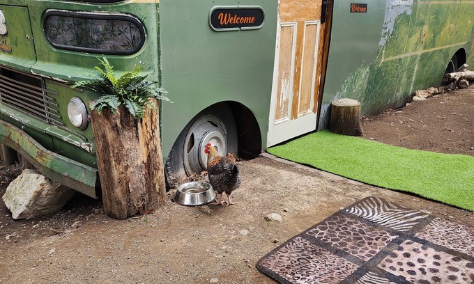 Southern Appartement | Unique, Exciting Bus Located on 63 acres with a Cosy woodheater. Luxury.