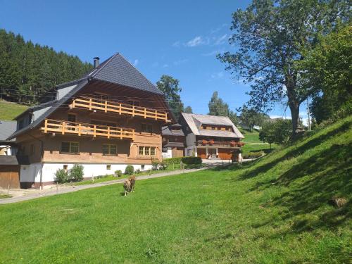 Triberg im Schwarzwald Appartement | Unterhohnenhof