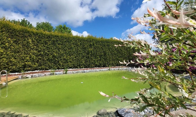 Dornum Appartement | Unwind at the swimming pond
