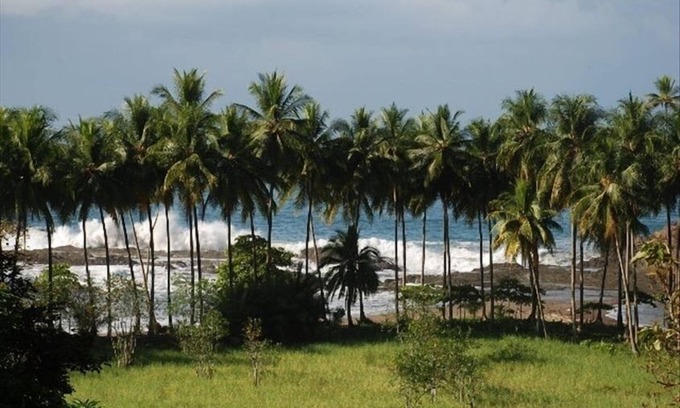 Dominical Appartement | Up Close Ocean View W / Pool-Plage 600 Ft Away- 2e étage studio