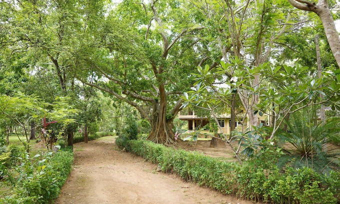 Habarana Villa | UpiesFolly Lakeside Bungalow