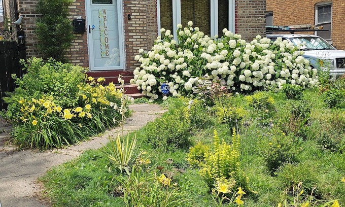 Jeffrey Manor Maison | Urban Oasis