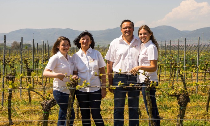Neustadt-Duttweiler Appartement | Urlaub in Einem Weingut. Hautnah die Arbeit Eines Winzers Miterleben