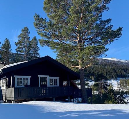 Nore og Uvdal Maison | Uvdalhytta - close to cross country and downhill skiing