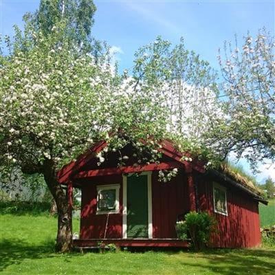 Innfjorden Appartement | Vårsetra
