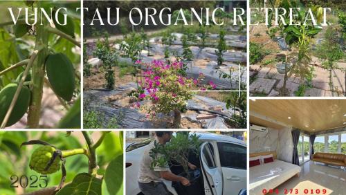 Phu My Appartement | V A C Haven Viet Nam 2