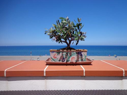 Marchesana Appartement | Vacanze al Mare Patrizia's Sweet Home