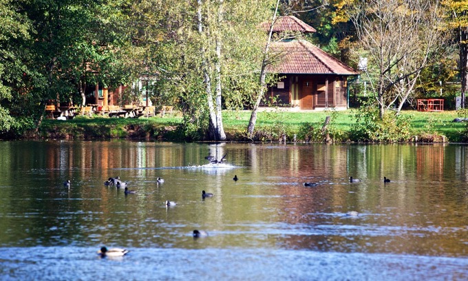 Ludwigswinkel Appartement | Vacation apartment/apartment for 2 guests with 39m² in Ludwigswinkel (270796)