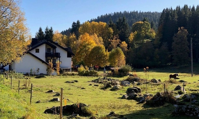 Blasiwald Appartement | Vacation apartment/apartment for 4 guests with 43m² in Schluchsee (268609)